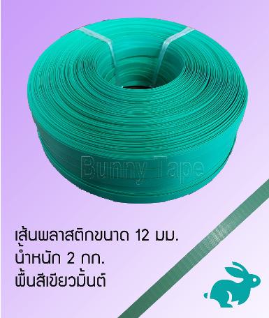 เส้นพลาสติกสานสีพื้นเขียวมิ้นต์ ขนาด 12 มม. 